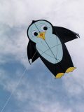 Pinguin Felix