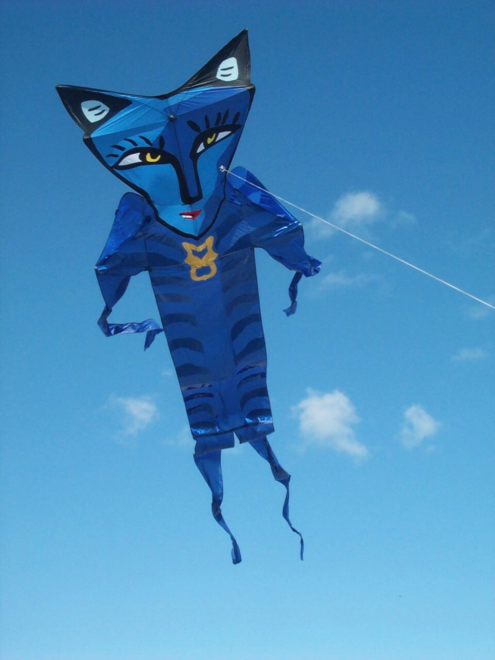 Blue Catman  beim Jungfernfllug